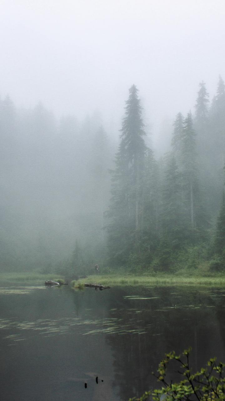 Image of a lake with some trees on the edge