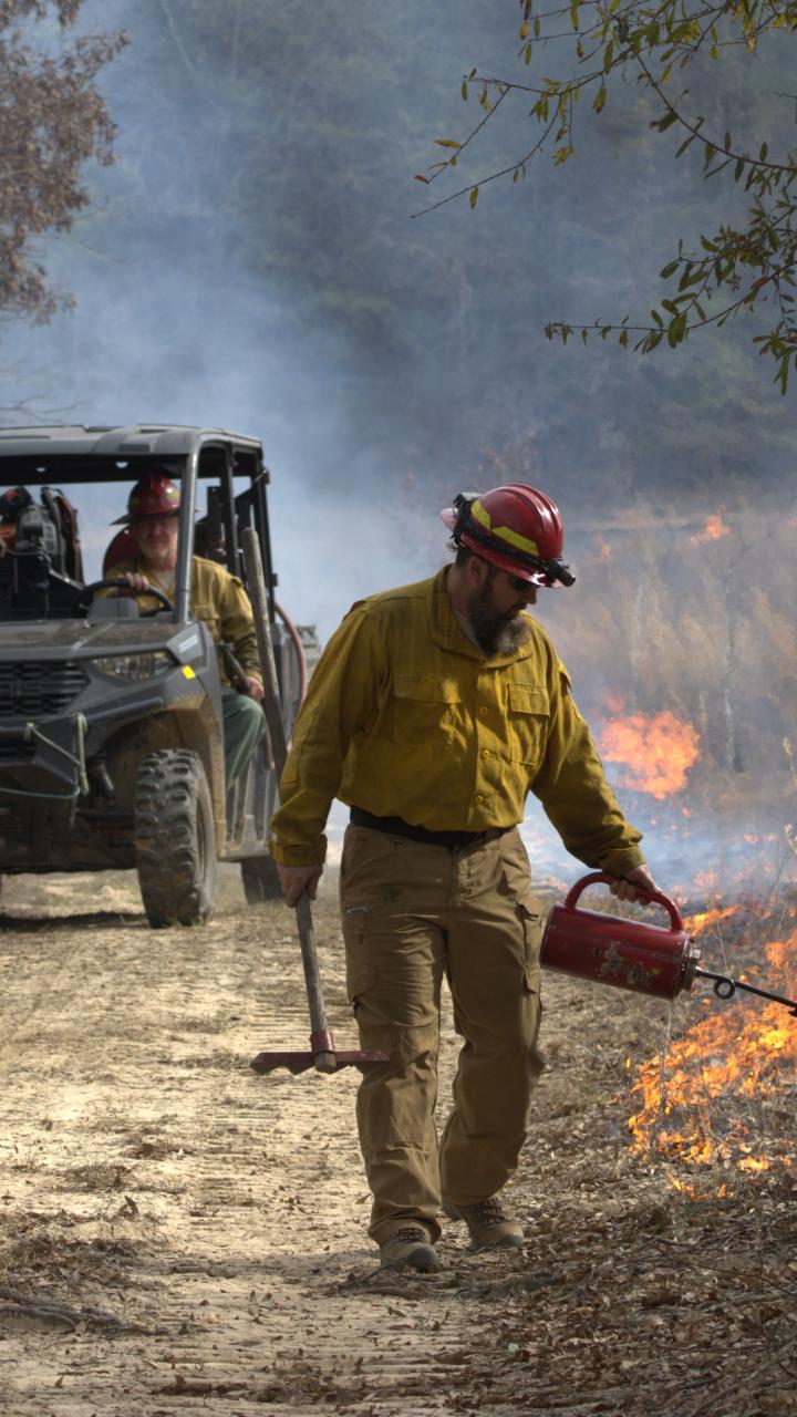 A firefighter in a red hard hat and yellow fire-resistant shirt walks along a dirt road carrying a drip torch and fire rake, igniting low flames along the road's edge, with a UTV and another crew member following behind through smoke from a prescribed burn.