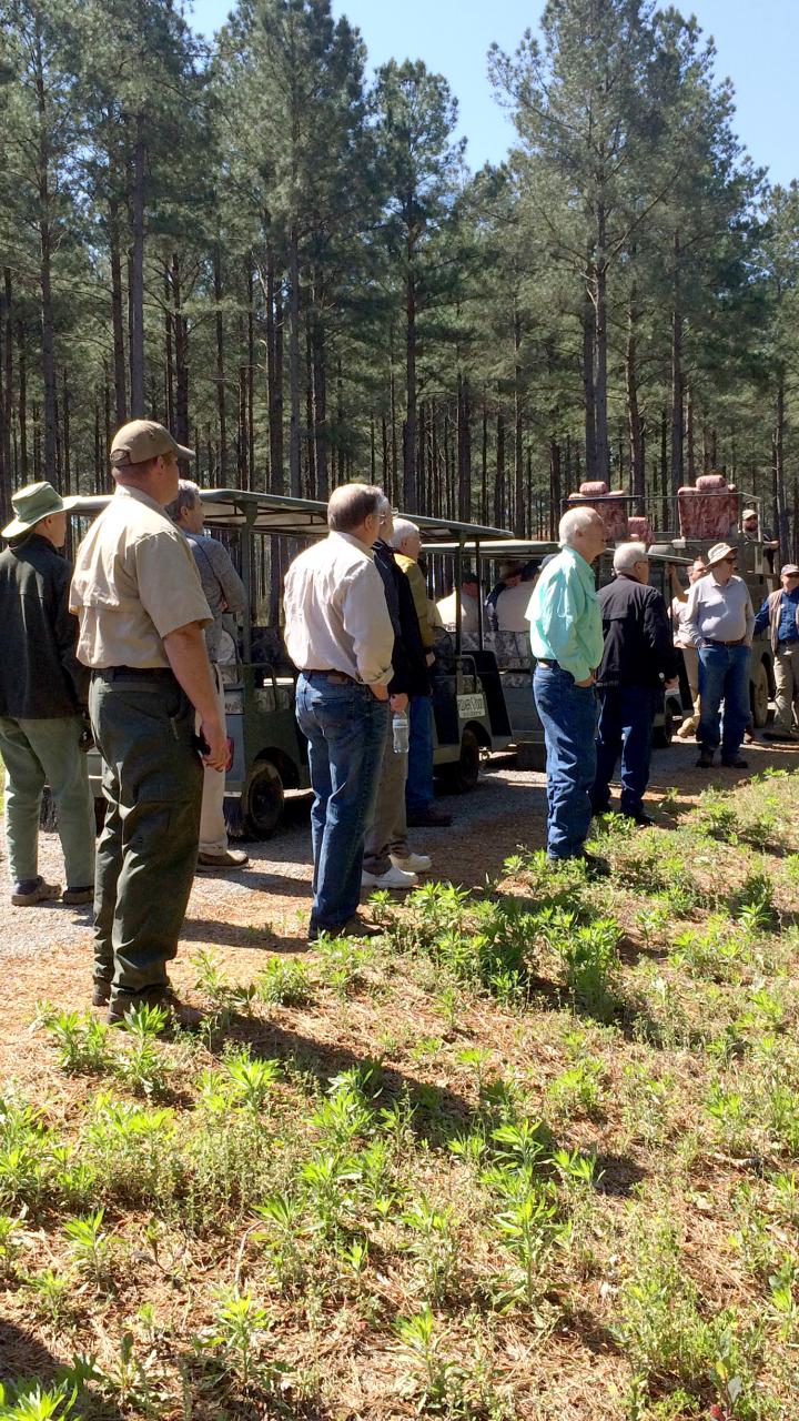 A group of landowners gathered on a dirt road around their vehicles listening to a presentation about habitat management on a private property in Alabama.