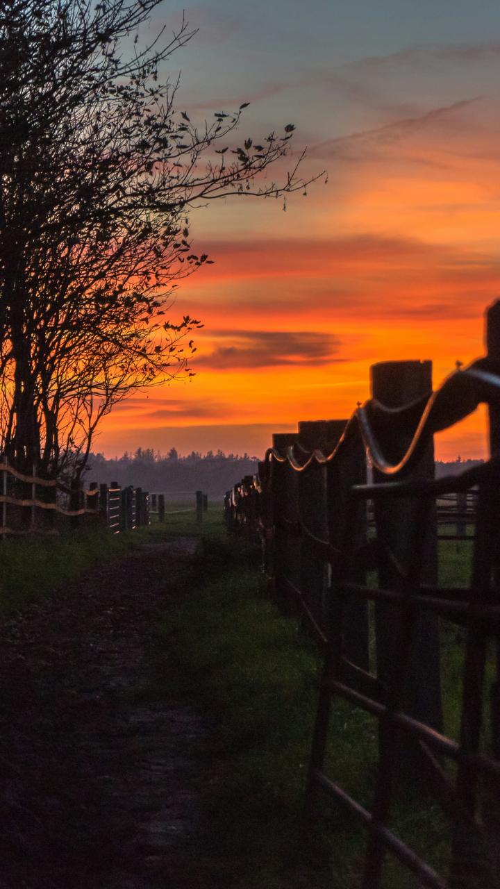 A white wooden fence stretches across open countryside under an orange sunset sky.