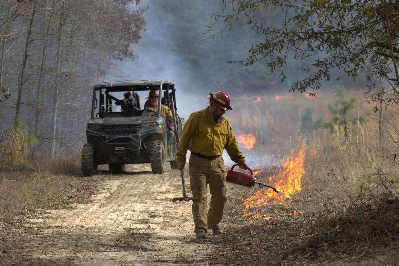 A firefighter in a red hard hat and yellow fire-resistant shirt walks along a dirt road carrying a drip torch and fire rake, igniting low flames along the road's edge, with a UTV and another crew member following behind through smoke from a prescribed burn.