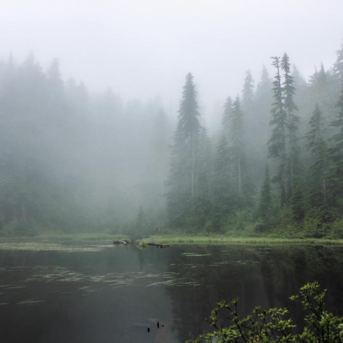 Image of a lake with some trees on the edge