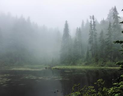 Image of a lake with some trees on the edge